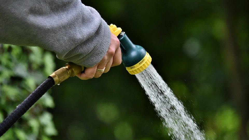 Irigarea corectă, pe timp de secetă, a grădinii de legume