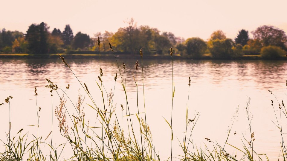 Accident cu final tragic după ce o mașină s-a răsturnat într-o baltă