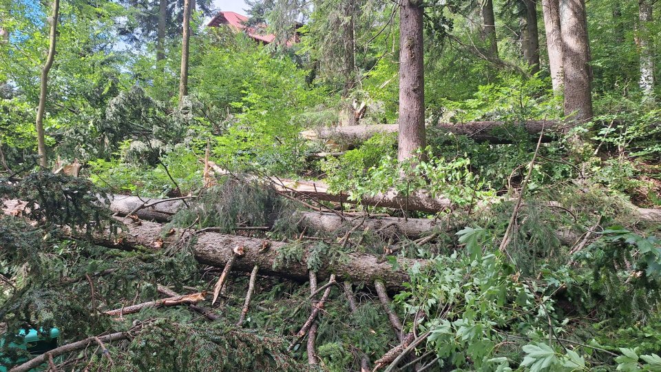 Prahova: Peste 50 de intervenţii ale pompierilor la Sinaia, în urma furtunii puternice