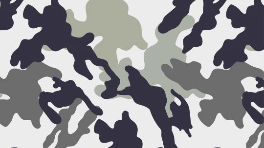 Serviciul militar, în Europa