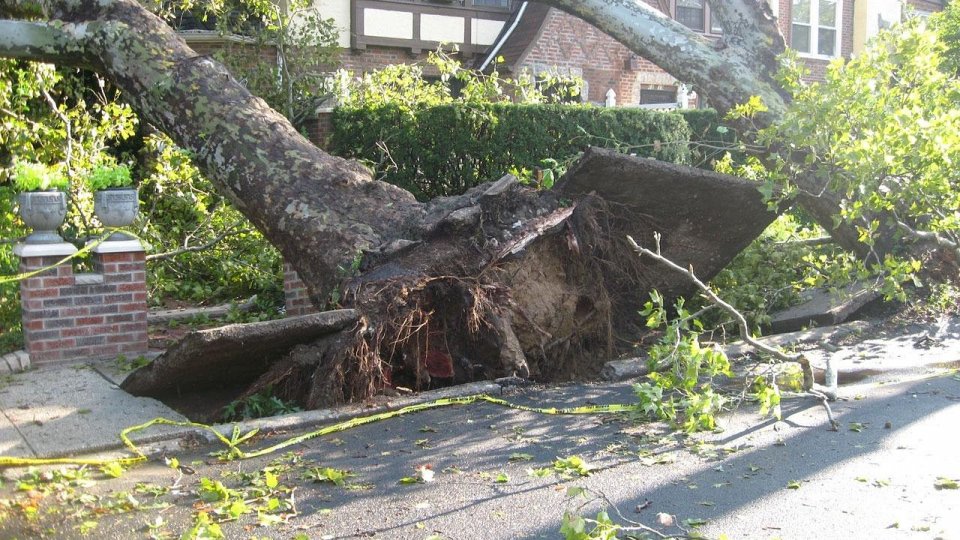 Peste 1.200 de dosare de daună, avizate în căteva zile, în urma pagubelor produse de vijelii