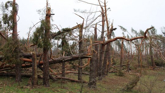 NASA nu va publica pe site-ul său rapoartele privind schimbările climatice, aşa cum fusese promis