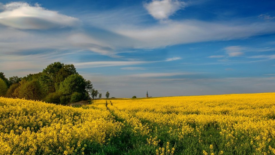 Vaslui: Tur eco-cultural gastronomic al judeţului, în perioada 26-27 iulie