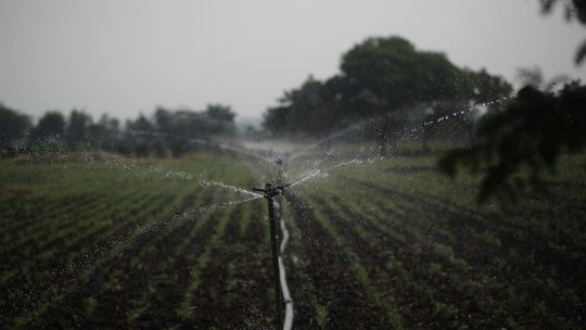 Situaţia pe râul Dâmboviţa a fost deblocată. Fermierii vor putea să-şi irige în continuare culturile agricole