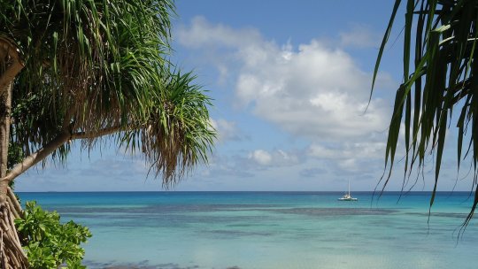 Marea fugă din Tuvalu, graţie "vizei climatice", înainte ca insulele să se scufunde în ocean