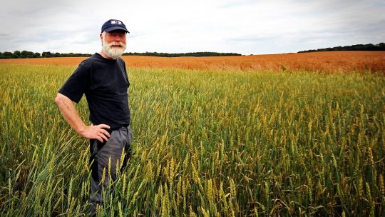 Schimbările climatice - o bombă cu ceas în sectorul agricol