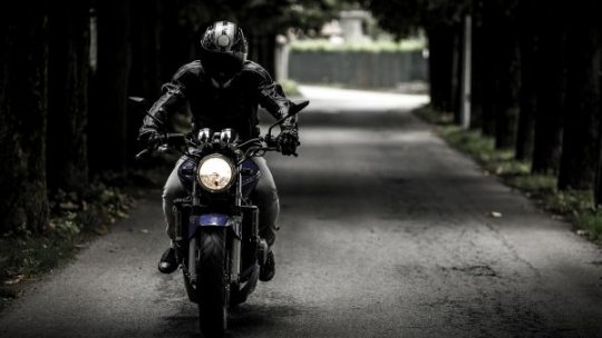 Incident șocant pe Transfăgărășan: Un urs a atacat și ucis un motociclist