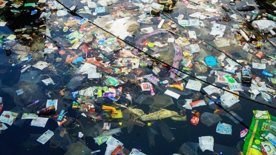 Neamţ: Pericol biologic pe lacul Izvorul Muntelui din cauza zecilor de tone de resturi aduse de viitură