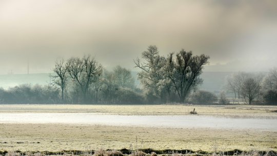 Mai multe râuri din nordul Munteniei şi sudul Transilvaniei sunt vizate de o avertizare cod galben de viituri şi inundaţii