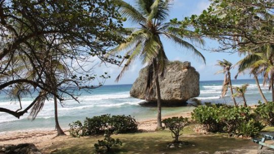 Escrocherie turistică: Promisiuni false de vacanțe exotice în Zanzibar, 30 de turiști păgubiți cu 73.000 de euro