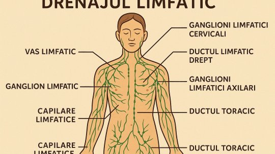 Drenajul limfatic – cheia detoxifierii naturale și a sănătății circulatorii