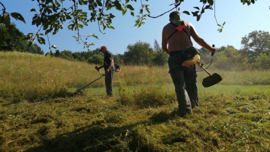 Termenul-limită pentru depunerea documentelor de rentă viageră este 1 septembrie