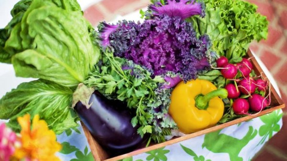 Recolta de legume din 2024, una dintre cele mai mari din ultimii ani în Uniunea Europeană