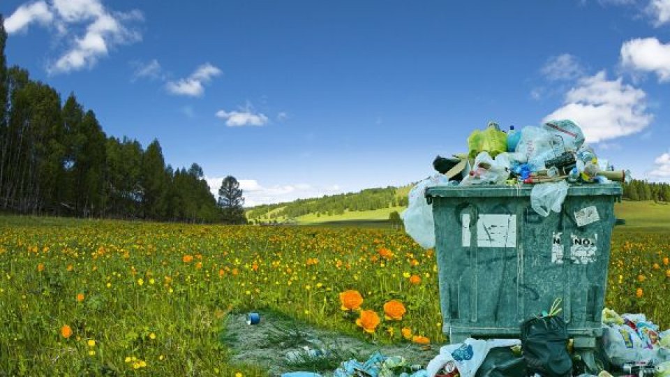 Românii aruncă la gunoi în fiecare zi echivalentul unei porții de mâncare