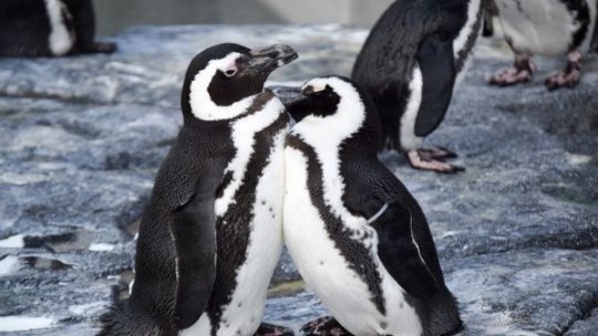 Grădina Zoologică din Brașov, unică în țară prin colecția sa de animale marine