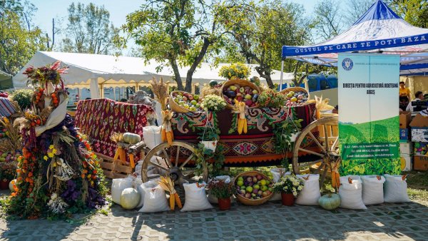 Târgul "Rod cu spor" celebrează meșteșugurile străvechi și autenticitatea românească