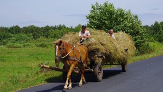 Drumurile judeţene din Ialomiţa vor fi complet asfaltate după lucrările pe DJ213A