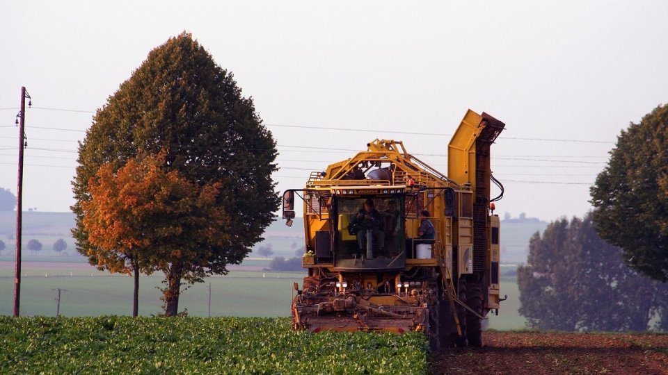 Pământul obosit: Schimbările climatice forțează rescrierea agriculturii tradiționale
