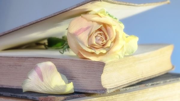 Ziua Culturii Naționale, celebrată la Biblioteca Națională prin dialog, memorie și identitate