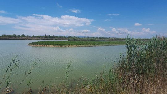 Canalele din Delta Dunării au înghețat. Fenomen benefic pentru fauna piscicolă din județul Tulcea