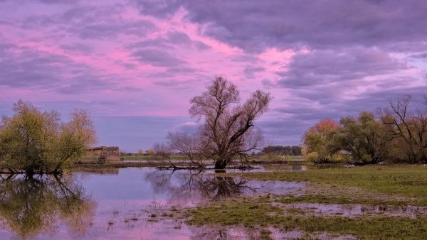 Intervenție de urgență în Dolj, pentru prevenirea inundării locuințelor