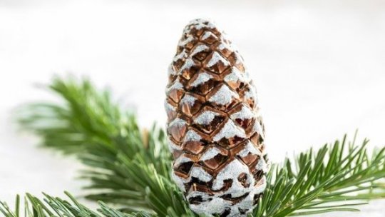 Crăciun pe stil vechi, păstrat cu credință și tradiții în comunitățile lipovenești