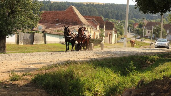 Satul românesc, între declin și speranța unei renașteri