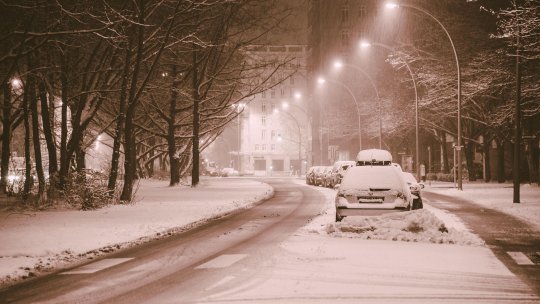 Vremea severă a produs pagube în Prahova şi Ialomiţa, copaci rupţi şi pene de curent