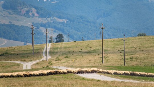 Trafic îngreunat de ceaţă şi polei în estul României sub Cod galben nowcasting