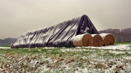 Piața terenurilor agricole din România, analizată în contextul schimbărilor economice