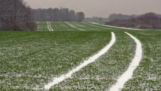 Fertilizarea culturilor de iarnă, între reguli stricte și nevoi agronomice. Explicațiile specialistului
