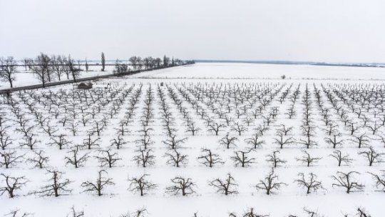 Fermierii încep lucrările de primăvară cu solul bine aprovizionat cu apă