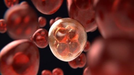 Femeile rezistă mai bine cancerului, însă tratamentele le afectează mai sever