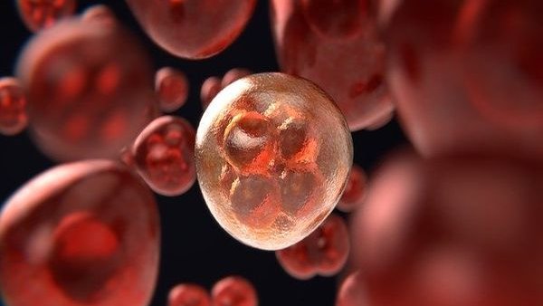 Femeile rezistă mai bine cancerului, însă tratamentele le afectează mai sever