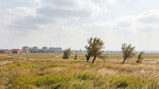 Avertizare meteo de vânt puternic valabilă pentru opt județe din țară, vineri