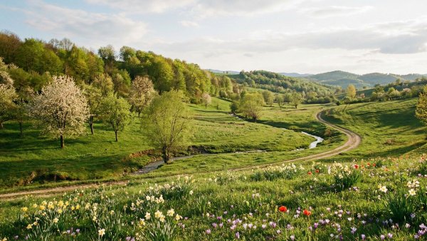 Vreme mai blândă decât de obicei în această perioadă. Ce temperaturi vor fi în următoarele zile