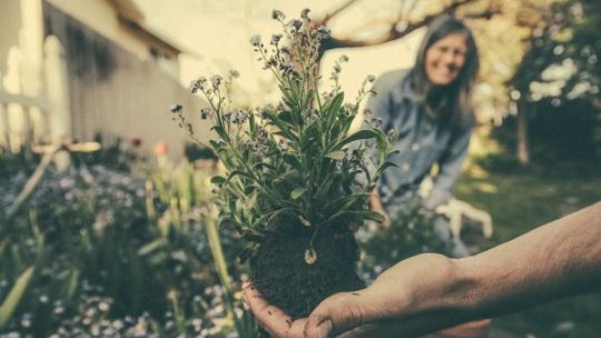 Permacultura, metoda pentru a face agricultura durabilă și sustenabilă