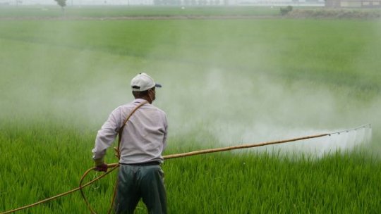 Noile tehnici genomice, subiect de dezbatere pentru fermierii români