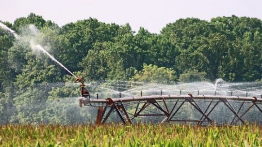 Ghid ANAF pentru veniturile din arenda bunurilor agricole: Cum se calculează impozitul și contribuțiile