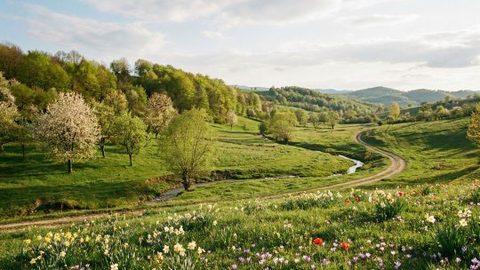Vreme mai blândă decât de obicei în această perioadă. Ce temperaturi vor fi în următoarele zile