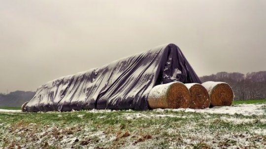 Piața terenurilor agricole din România, analizată în contextul schimbărilor economice