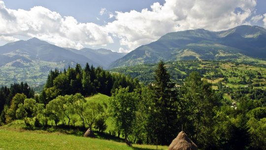 Redescoperirea naturii, invitație în inima munților Rodnei