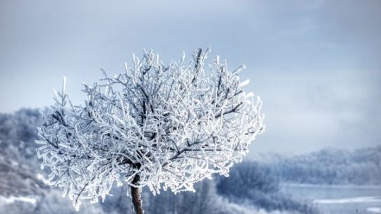 Avertizare meteo de frig și îngheț, până miercuri. Harta zonelor afectate de noul Cod galben de ger