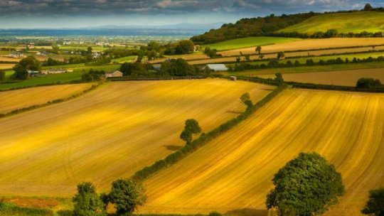 Culturile de toamnă beneficiază de condiții meteo favorabile în majoritatea zonelor agricole