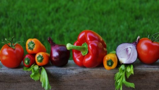 România bio, la cel mai mare târg din lume: Doar 12 firme ne reprezintă la Biofach