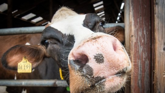 Zeci de milioane de euro investiți în agricultură, în județul Sălaj