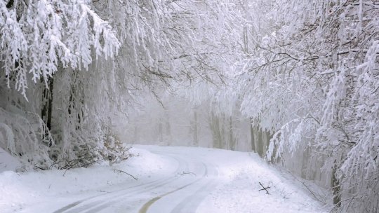 Meteorologii anunţă ninsori şi ploi în aproape toate regiunile ţării