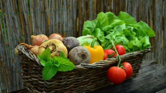 Fermierii care nu s-au dat bătuți: Povestea platformei Romo