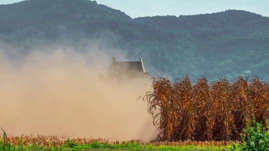 Cele mai scumpe terenuri arabile din România se găsesc în București-Ilfov