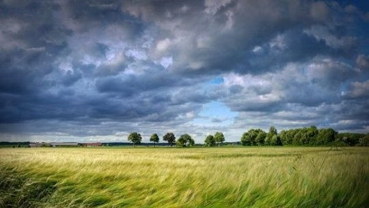 Producții agricole mai mici, în aproape toată țara, din cauza secetei prelungite